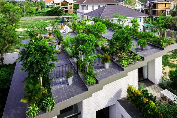 Bài viết hay